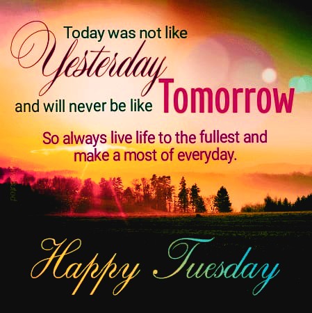 Happy Tuesday.
Congrats to us all for being a part of this nice day.

Sending you/myself well wishes to...
Have a peaceful &amp; prosperous day &amp; week filled with lots of successes.

Dear #JobSeekers: Keep up your great efforts. 
You will be successful soon. DM me if you need help.