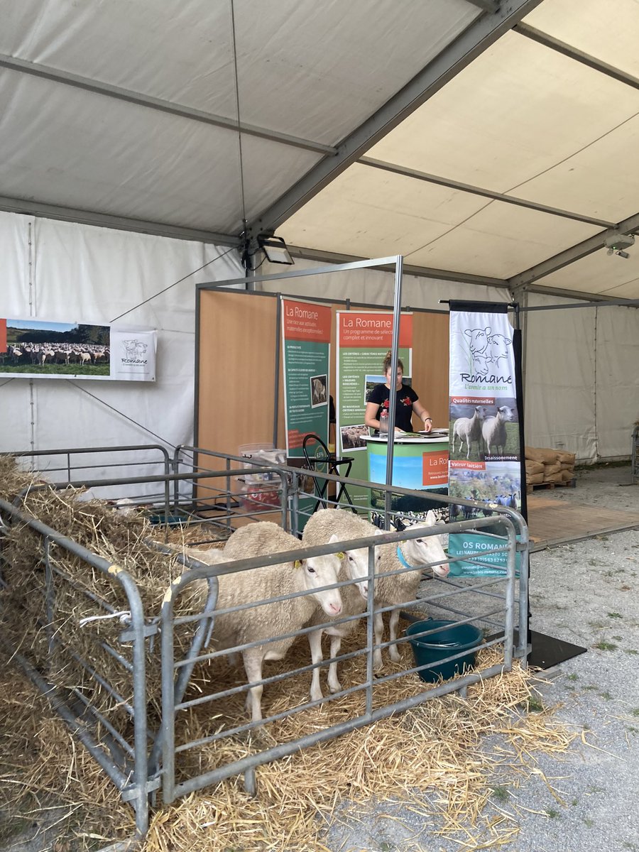 Inn_Ovin's tweet photo. J-1 avant @Tech_Ovin ! Rendez-vous sous le chapiteau A pour jouer à la roue de l’#installation et repartir avec pleins de cadeaux 🎉🐑
Les stands Inn’ovin et Inn’ovin Nouvelle-Aquitaine vous attendent avec impatience et sous le soleil ☀️ ! #TechOvin https://t.co/QCh59KjF9U