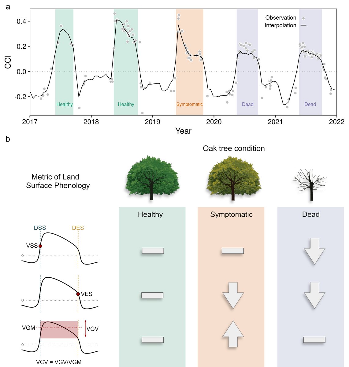 Our article on mapping oak wilt disease from space using land surface phenology is now published in Remote Sensing of Environment! 

We provide a novel framework for mapping symptoms of this important disease at a large scale.

Check it out: authors.elsevier.com/a/1hiSN7qzS-Q8w