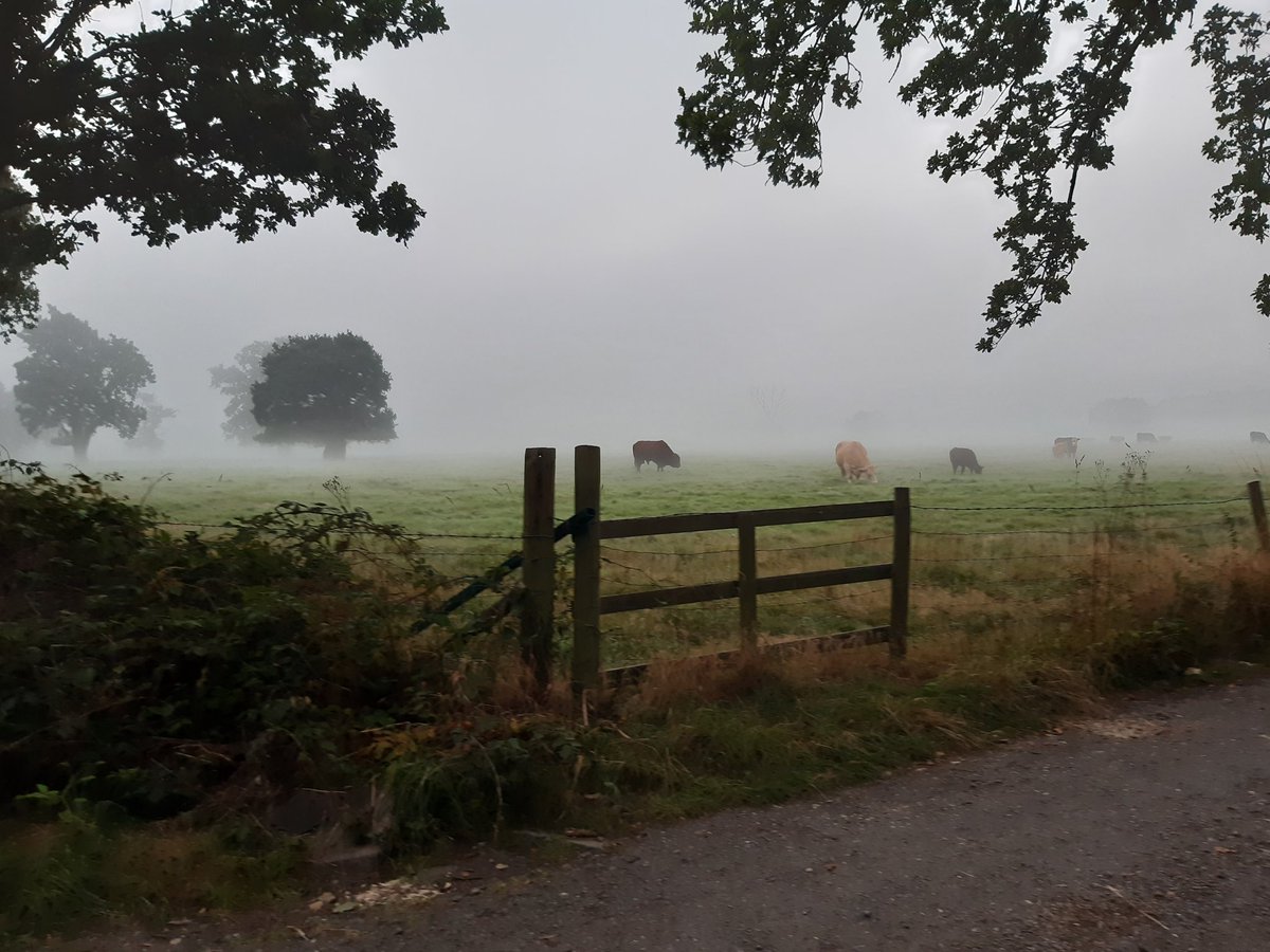 Kev Sharp tweet media