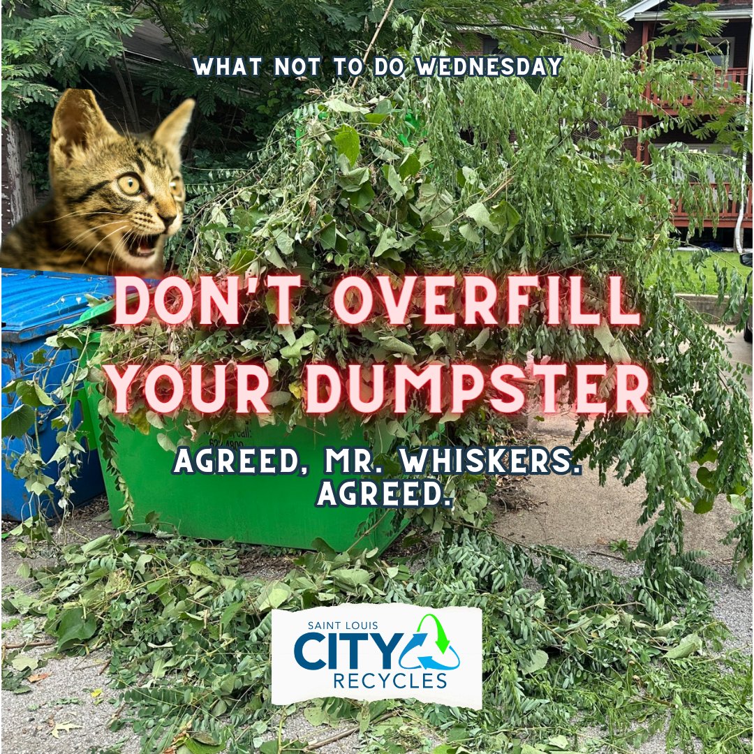 Mr. Whiskers has it right: it's no good to overfill your dumpsters! How will they get emptied? Never fill alley dumpsters so much that you can't close the lid.

#WhatNotToDoWednesday #STLCityRecycles #DumpsterIssues #STL #STLCity