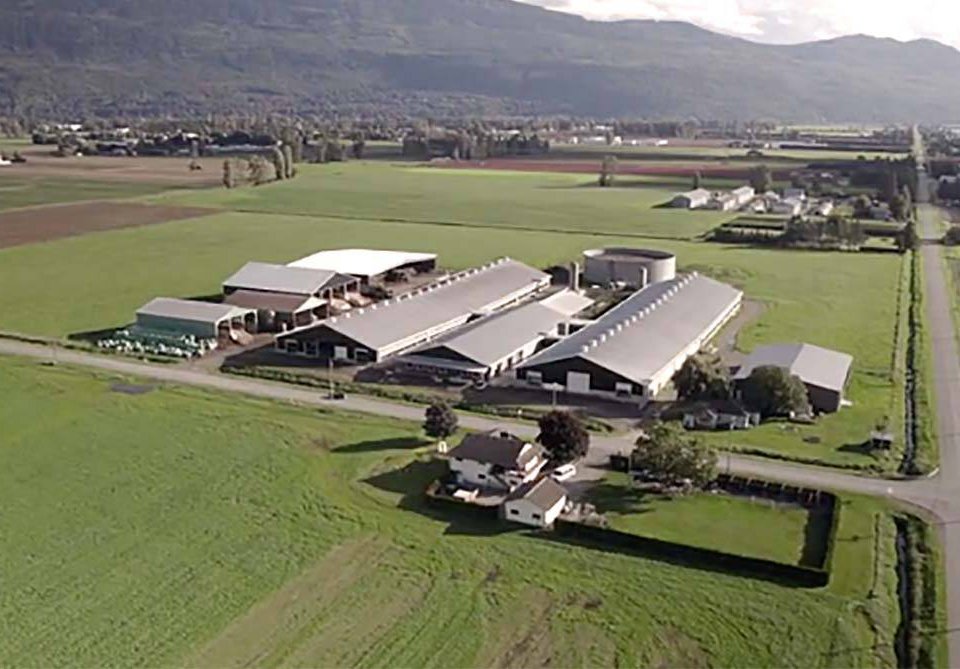 #AnimalRights #veganism

Take your time reading and watching the evidence from <a href="/dairy_truth/">Dairy-Truth</a>'s "The Case Against #Dairy🥛" and also see Nigel Osborne comment at the end regarding Cesar Alonso and the Go Fund Me campaign.

#CedarValleyFarms #AnimalCruelty

🔗dairy-truth.com/blog/the-case-…