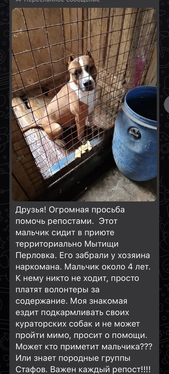 Москва, область. Обратите внимание! Просто боль 💔