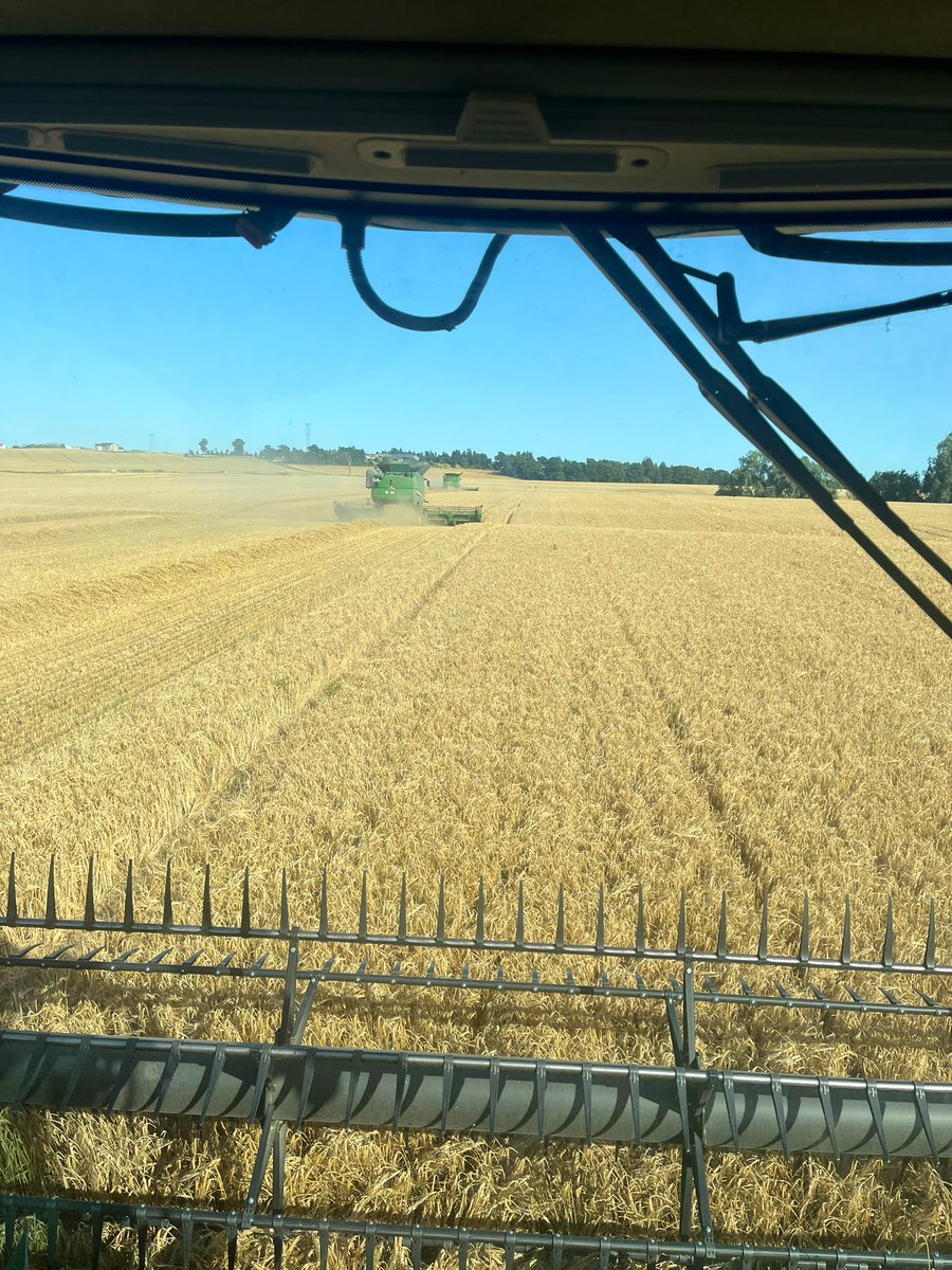 🇺🇦🇺🇦RM & JF Seed🇺🇦🇺🇦 tweet media