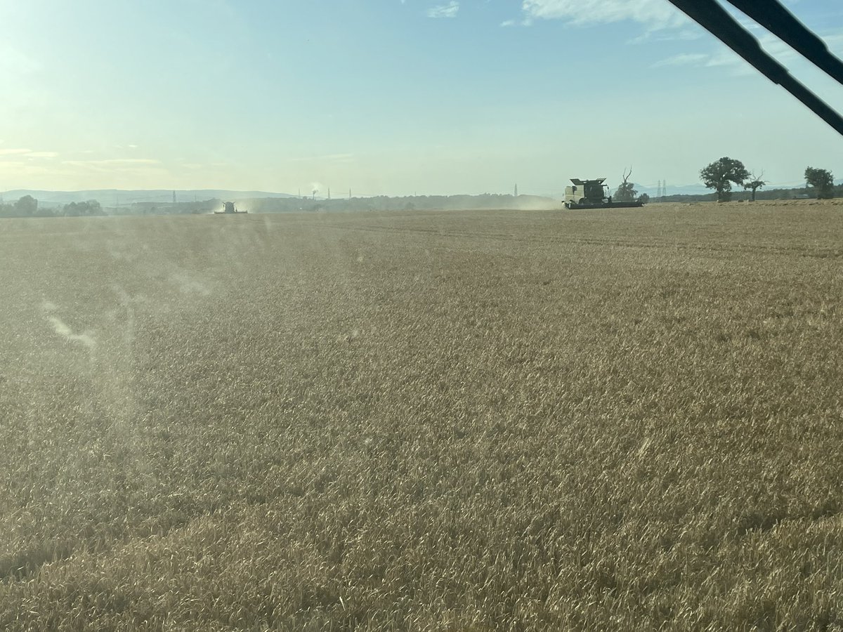 🇺🇦🇺🇦RM & JF Seed🇺🇦🇺🇦 tweet media