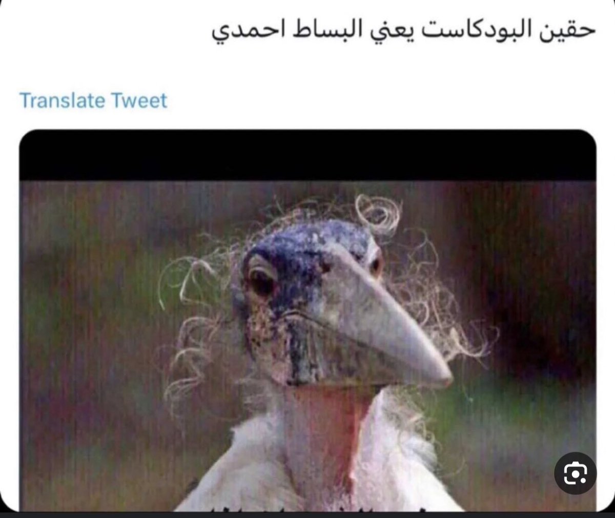mtaub98's tweet photo. @t1t2mb34 @fayez_101 https://t.co/WyJtc4KQCS