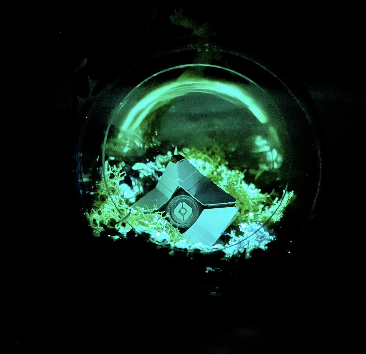 OfStarlightDesigns tweet media