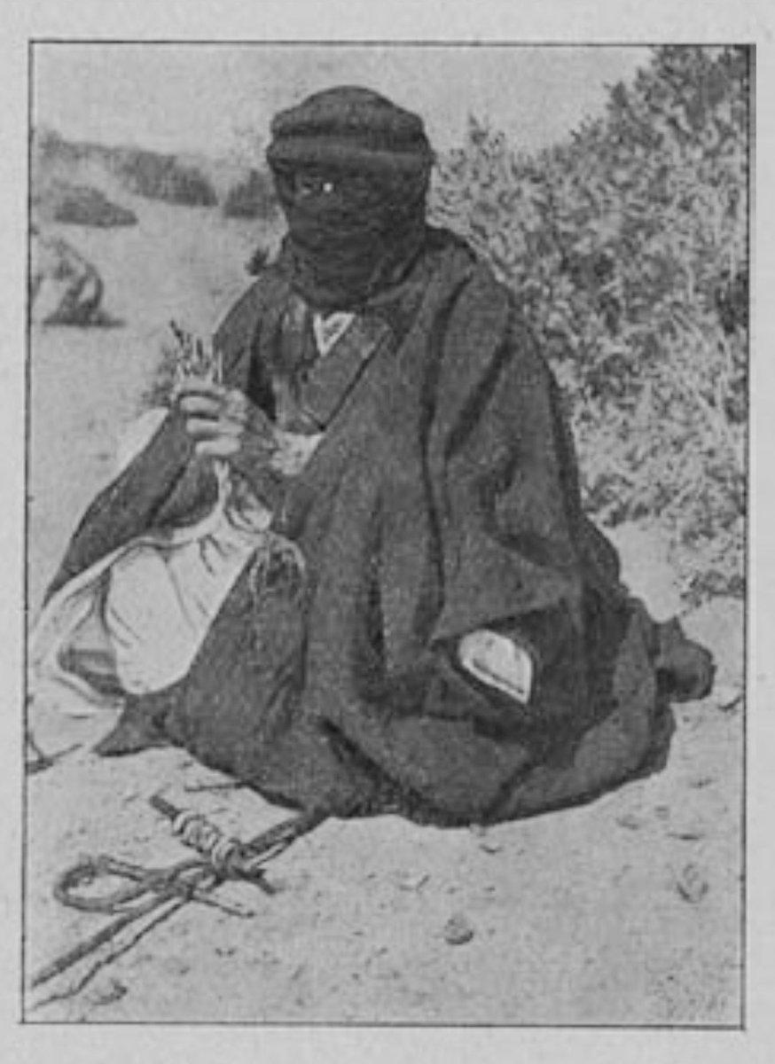 شليويح الرويلي tweet media