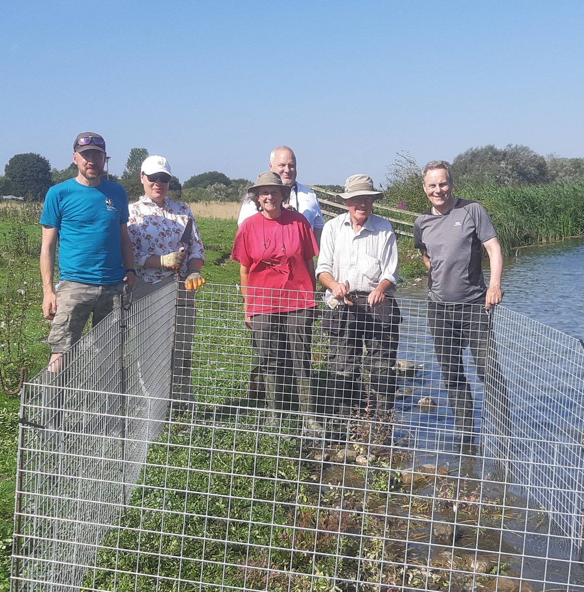 Great morning with @BirdingDad at @YWT_North Bolton on Swale reserve and volunteers re-introducing Water Germander.