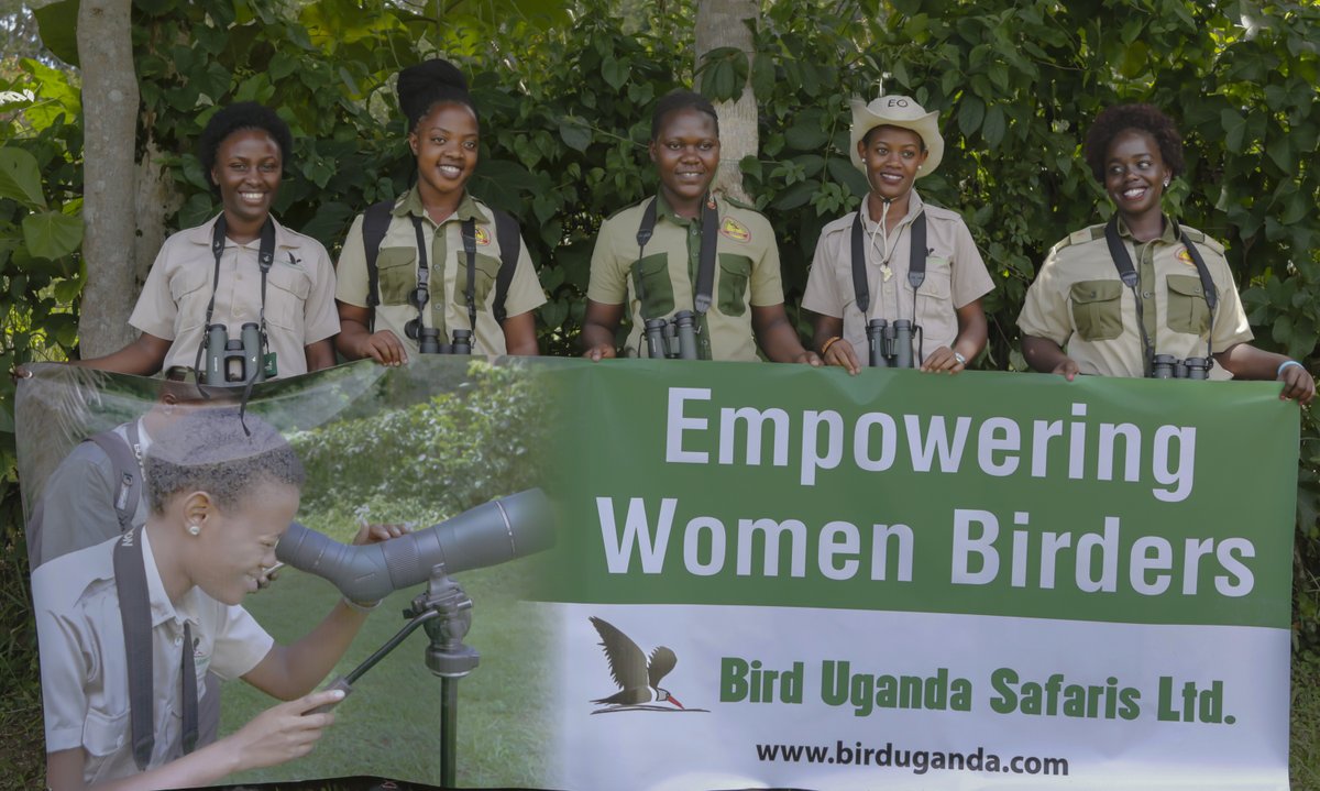 Bird Uganda Safaris (@UgandaBirder) on Twitter photo 2023-09-05 22:09:52