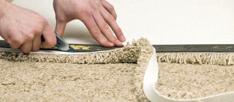 Attention New Homeowners! 🏡💸 Unlock the Secrets to Savvy Carpet Installation Costs Without Sacrificing Quality or Comfort! 🛋️🤑" homeflooringpros.com/cost-install-c…