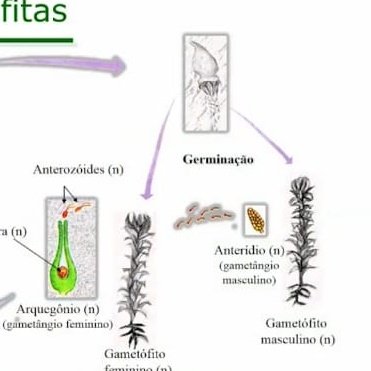 malustwt's tweet image. hoje