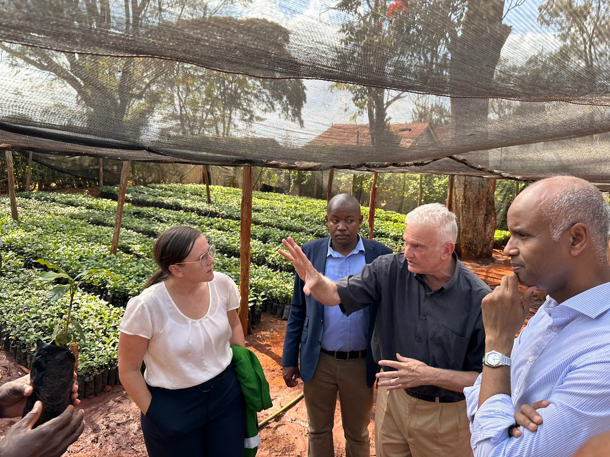HonAhmedHussen's tweet photo. Visiting Caffe Del Duca in #Kenya – an inspiring tale of local hard-working farmers, Canadian NGO support and funding from Canada fueling sustainable growth in the local coffee sector. From bean to cup, they're brewing change and community empowerment. https://t.co/X0eswETDE6