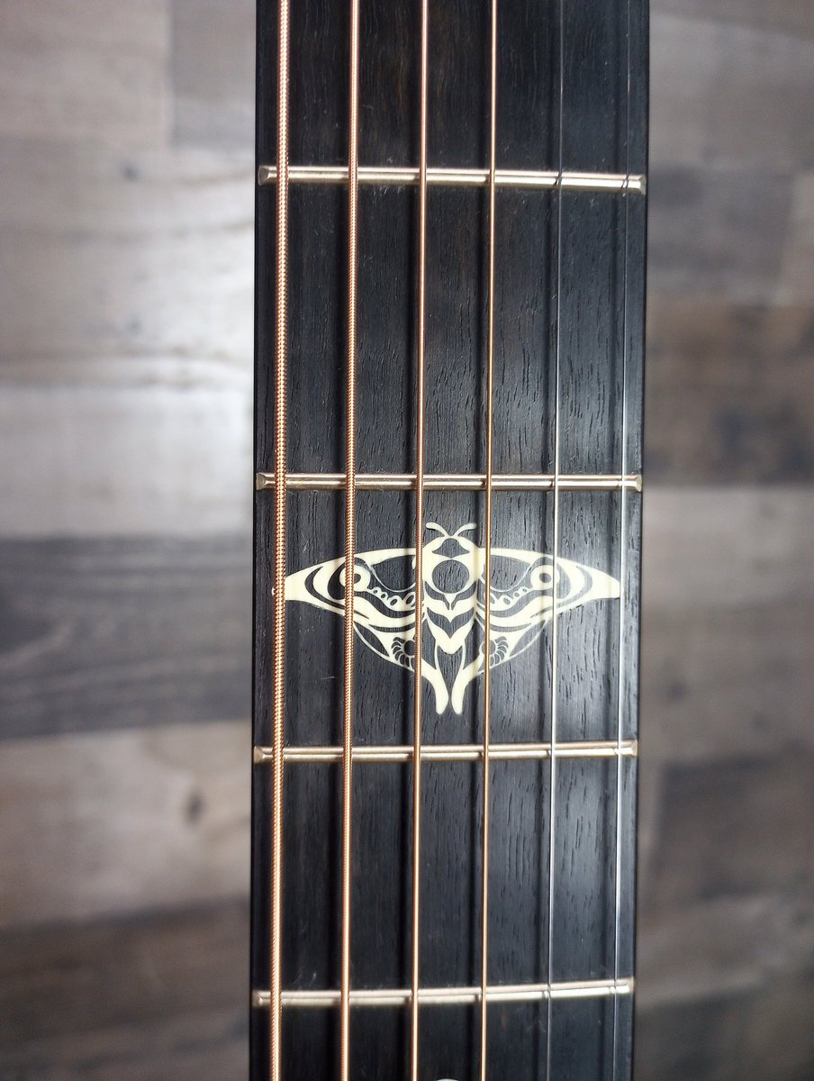 elonstillsucksbutimback tweet media