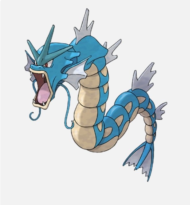 Tyler the Pokémon coordinator🎀 tweet media