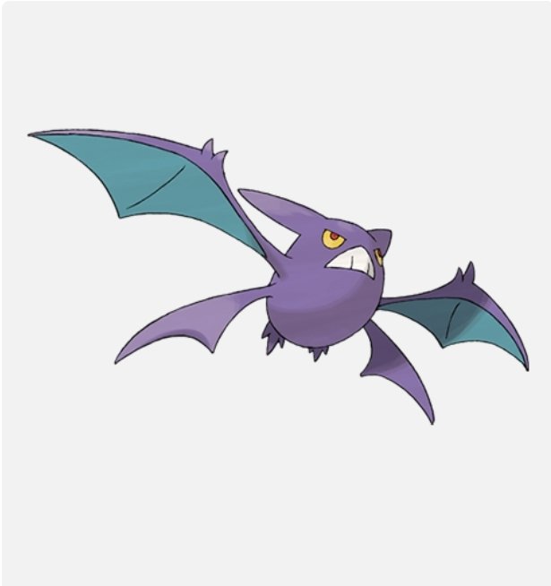 Tyler the Pokémon coordinator🎀 tweet media