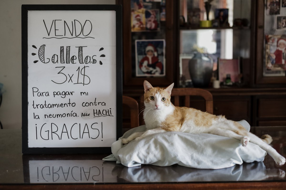 daniel echeverria tweet media