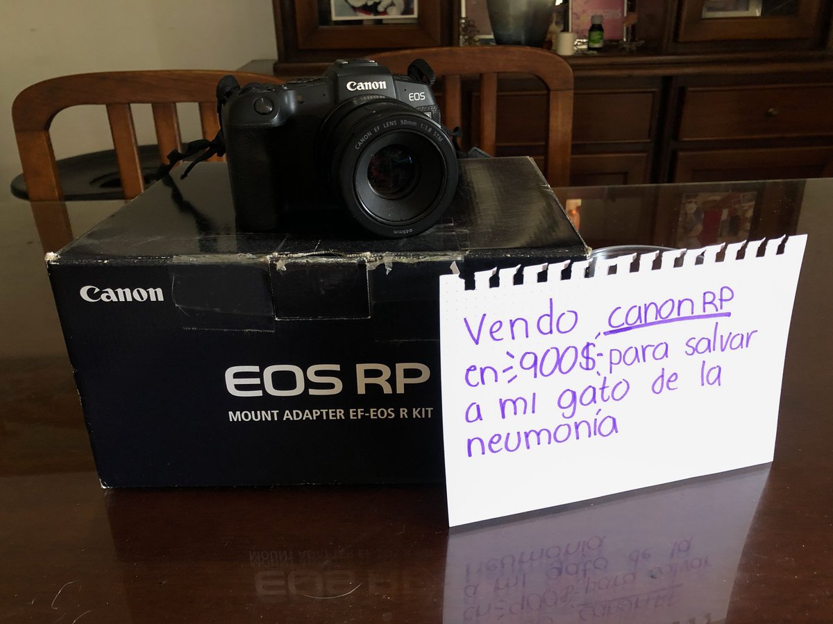 daniel echeverria tweet media