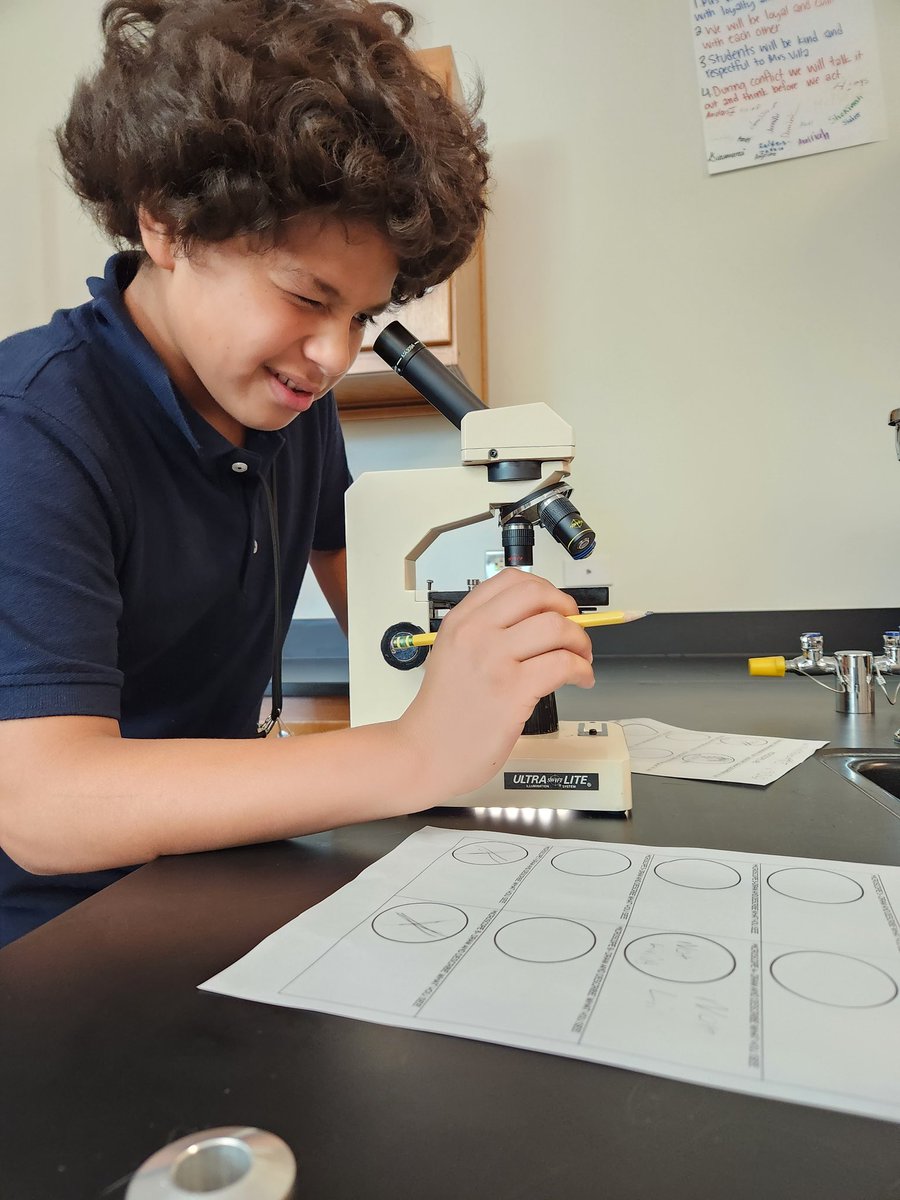 villa_sci's tweet image. It's the ✨️little things ✨️ that make me happy 😊  
#SamSide #HoustonScience #MicroscopeLab #Cells #CellTheory