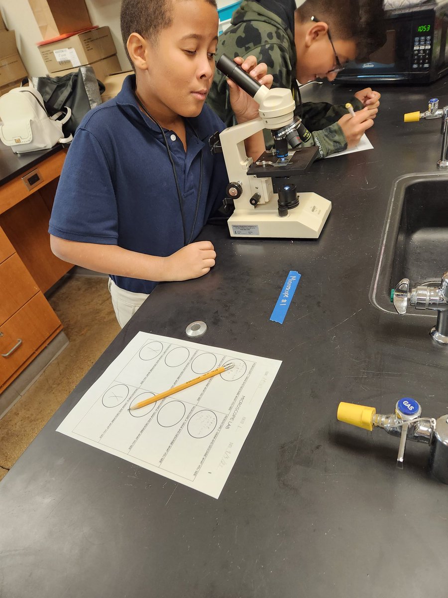 villa_sci's tweet image. It's the ✨️little things ✨️ that make me happy 😊  
#SamSide #HoustonScience #MicroscopeLab #Cells #CellTheory