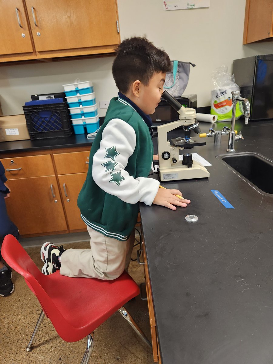 villa_sci's tweet image. It's the ✨️little things ✨️ that make me happy 😊  
#SamSide #HoustonScience #MicroscopeLab #Cells #CellTheory