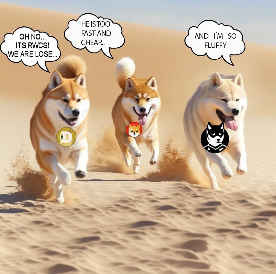 Kodomo9911's tweet image. This is my meme @RugbyWCShiba 
#RWCS #memcontest $RWCS