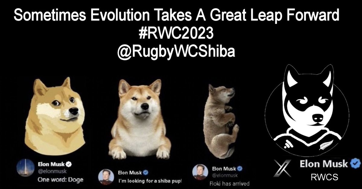 Kodomo9911's tweet image. This is my meme @RugbyWCShiba 
#RWCS #memcontest $RWCS
