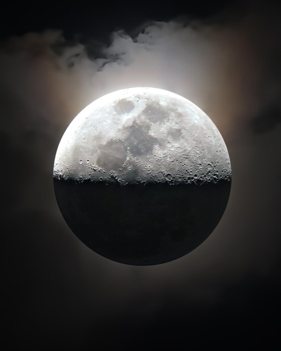 🌜moonlight🌛 tweet media