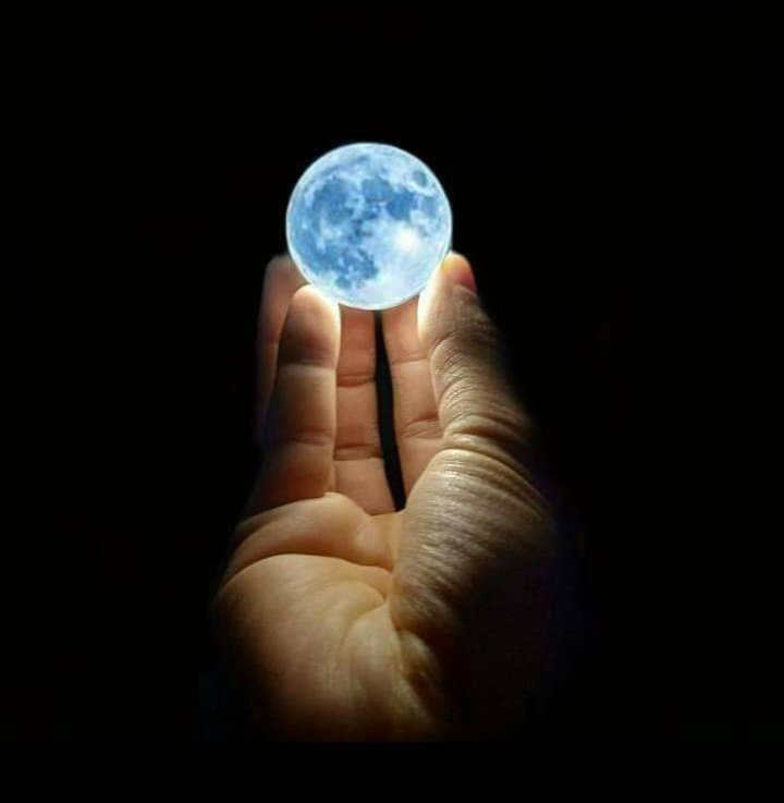 🌜moonlight🌛 tweet media