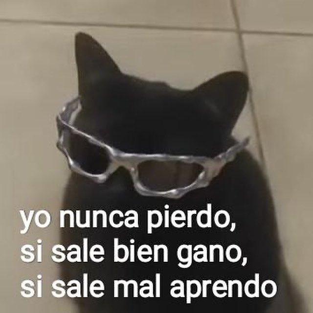 conoloracigarro's tweet photo. Yo nunca pierdo https://t.co/46Js34C42L