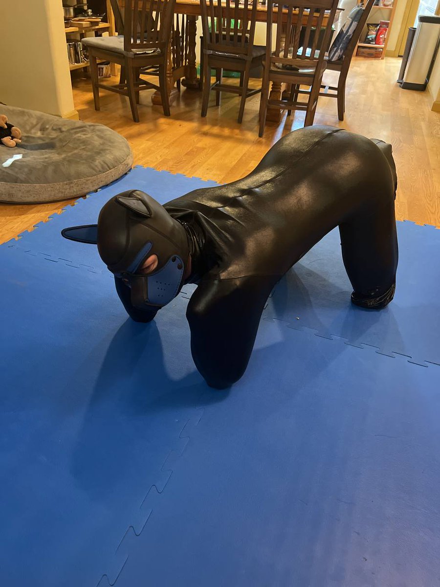 Pup Riley tweet media