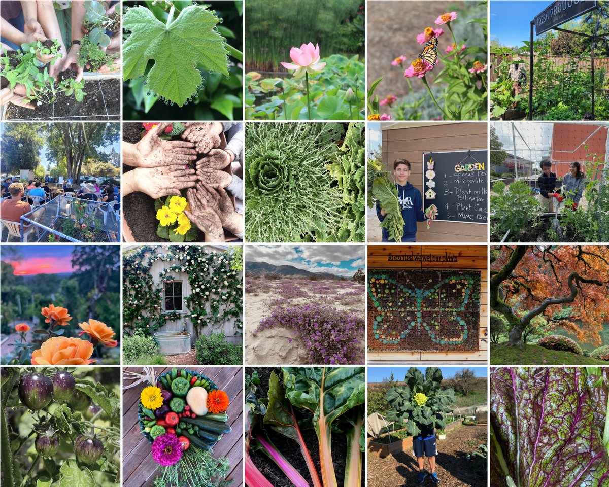 The 2023 <a href="/UCMasterGarden/">UC Master Gardeners 🌱</a> Photo Contest Finalists Voting Has Begun 📷 Here’s how to vote:
1. Visit our voting page: m.shortstack.page/nRCjrx
2. Look through the finalist photos in each category
3. Pick your favorite semifinalists from each category
4. Share and help spread the word
