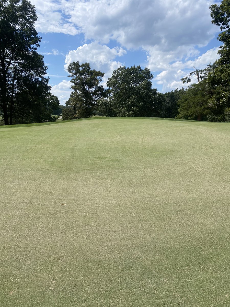13 greens done only 6 more to go tomorrow. Heat be damned we are finishing strong