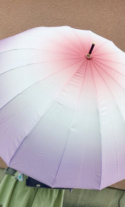 さらのTwitter画像37