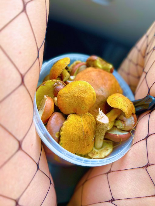 #mushrooms https://t.co/C4e5XZjHQa<a href="/tag/mushrooms"class="tags">#mushrooms</a>