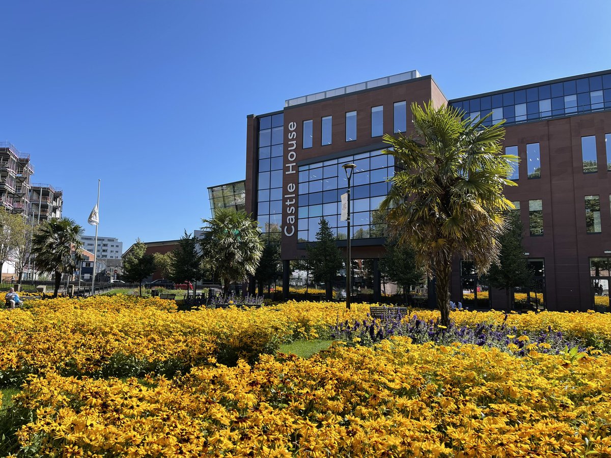 Today’s workspace was very on-brand. 👌🌼
