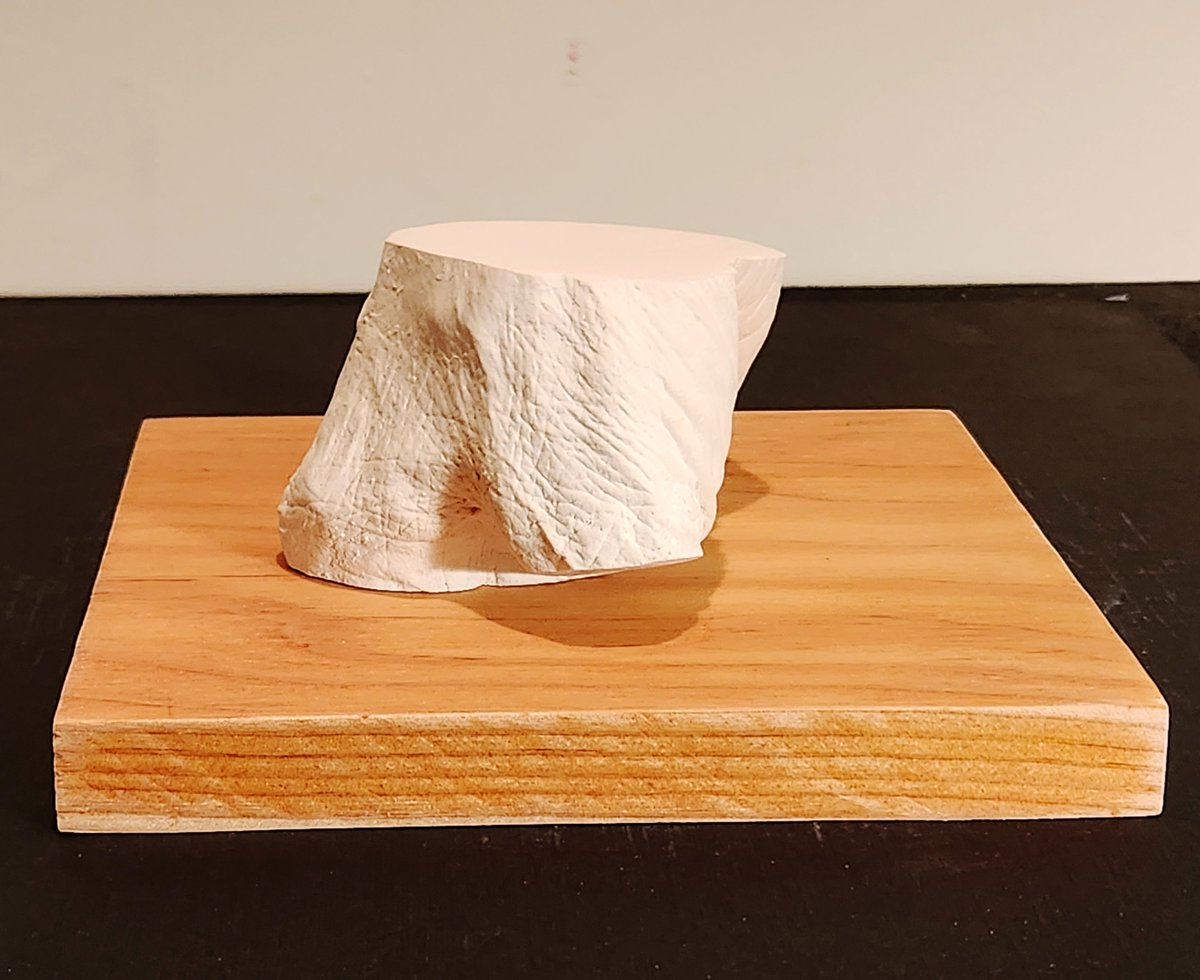 artofmarkmorris's tweet photo. “Statuary Residuum” (Stump)             Mark Morris 2023

3” w x 4” L x 2” H, cast, carved and sanded, raw Hydrocal plaster, fir base 6” x 67/16” x ¾” with 1 coat aliphatic polyurethane sanded flat with 400 grit sandpaper. https://t.co/ZXovv49eyr