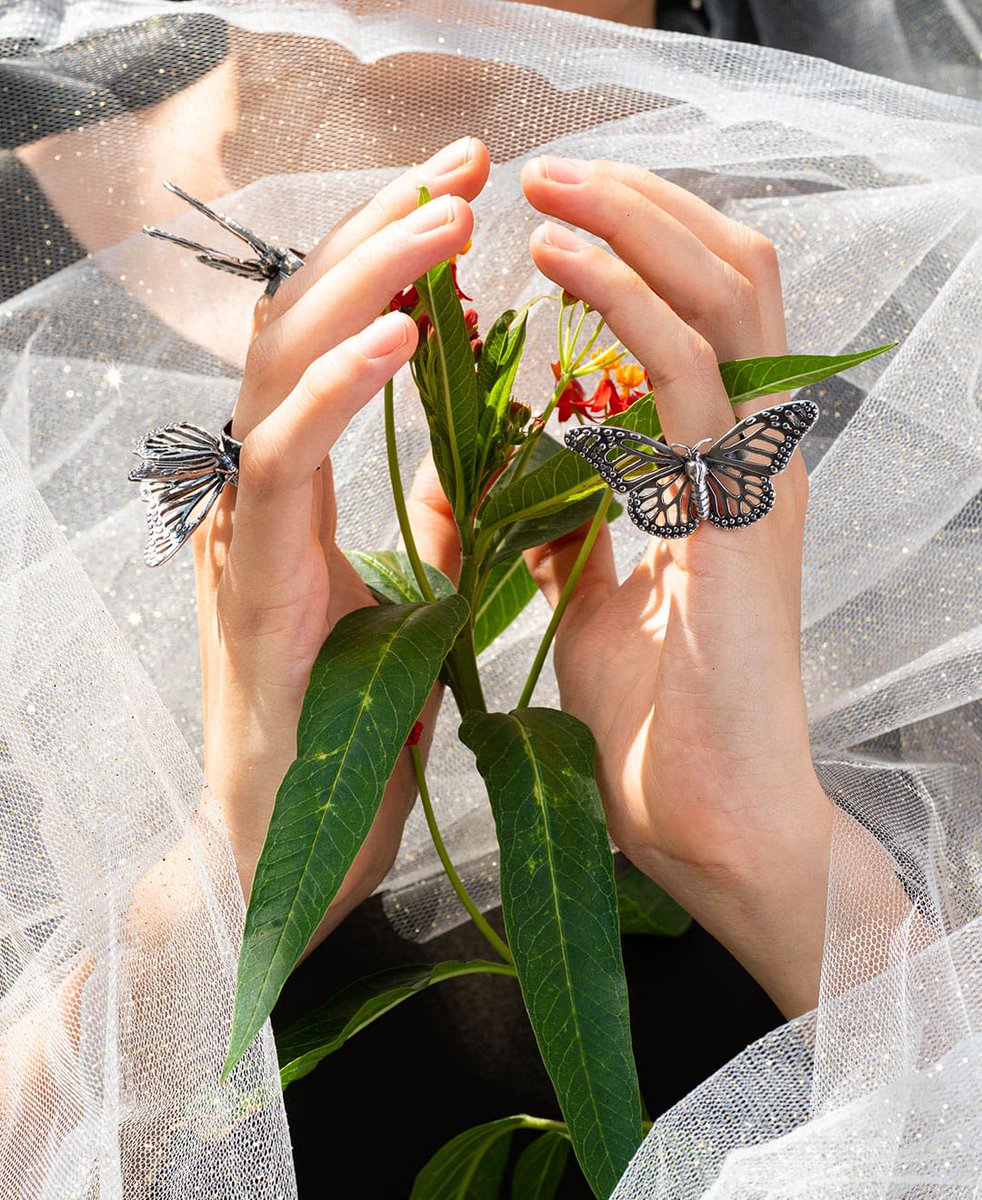 El ciclo de la mariposa monarca es un recordatorio de que la vida es un viaje de transformación constante.
Al igual que la mariposa monarca se libera de su crisálida, nuestro santuario es un espacio donde nos liberamos de viejas creencias permitiéndonos volar. 🦋🌸✨