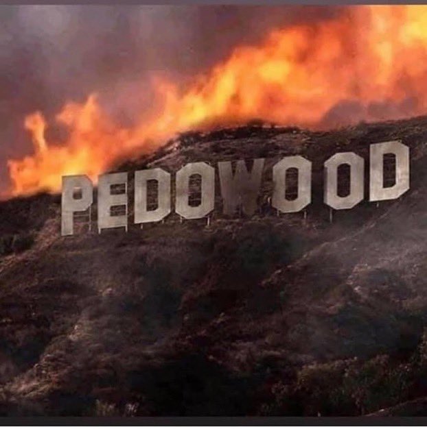 mr_Yozan's tweet photo. @DrLoupis All hail pedowood
#pedowood #pedogram https://t.co/bSwweW36Rm
