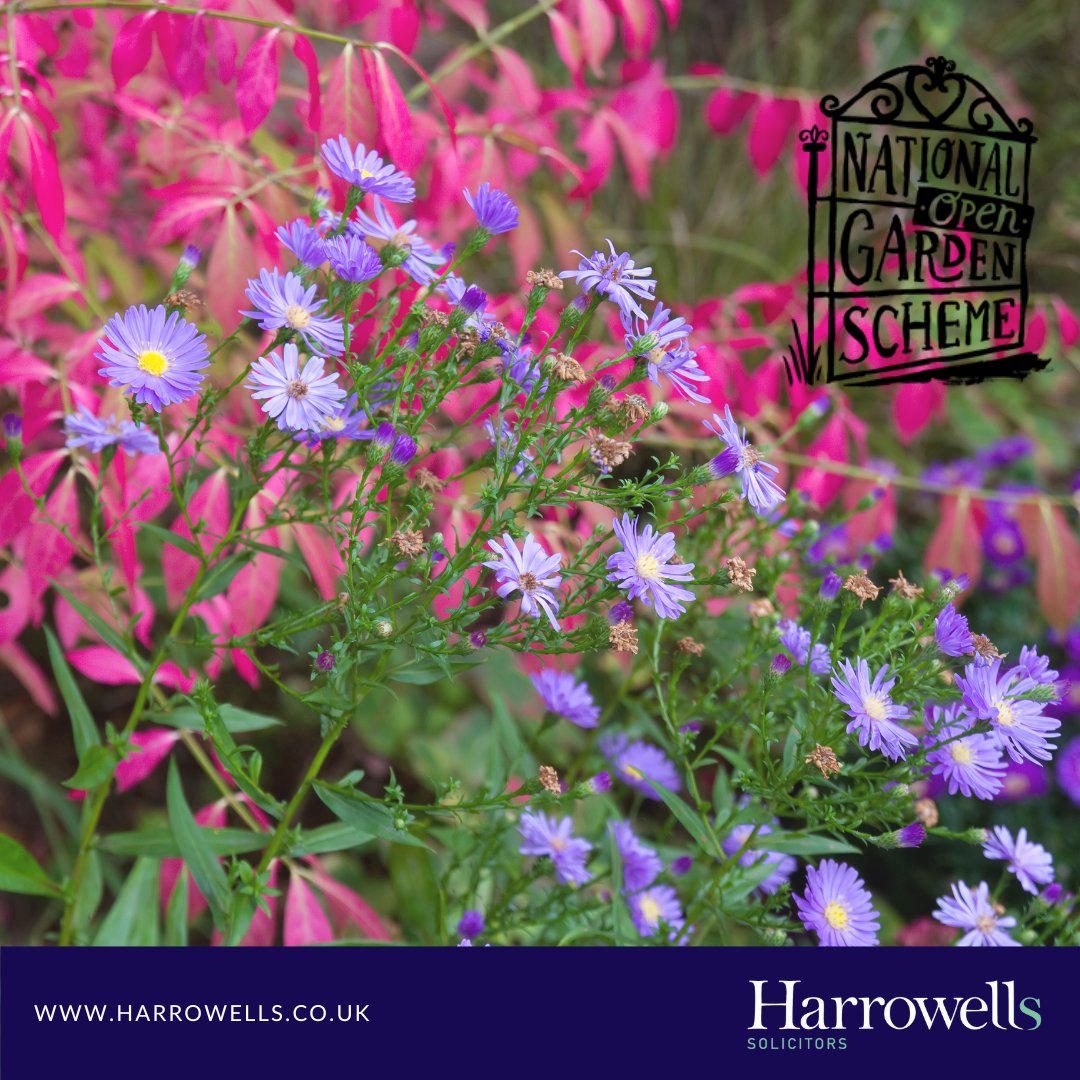 We are very proud to support the National Garden Scheme (NGS) every year. Through the scheme, some of the nation's best gardens are open to the public, raising money for nursing and caring charities. Gardens open this month include our friends <a href="/SLGardens/">Stillingfleet Lodge</a> ow.ly/1E7P50PGkaW