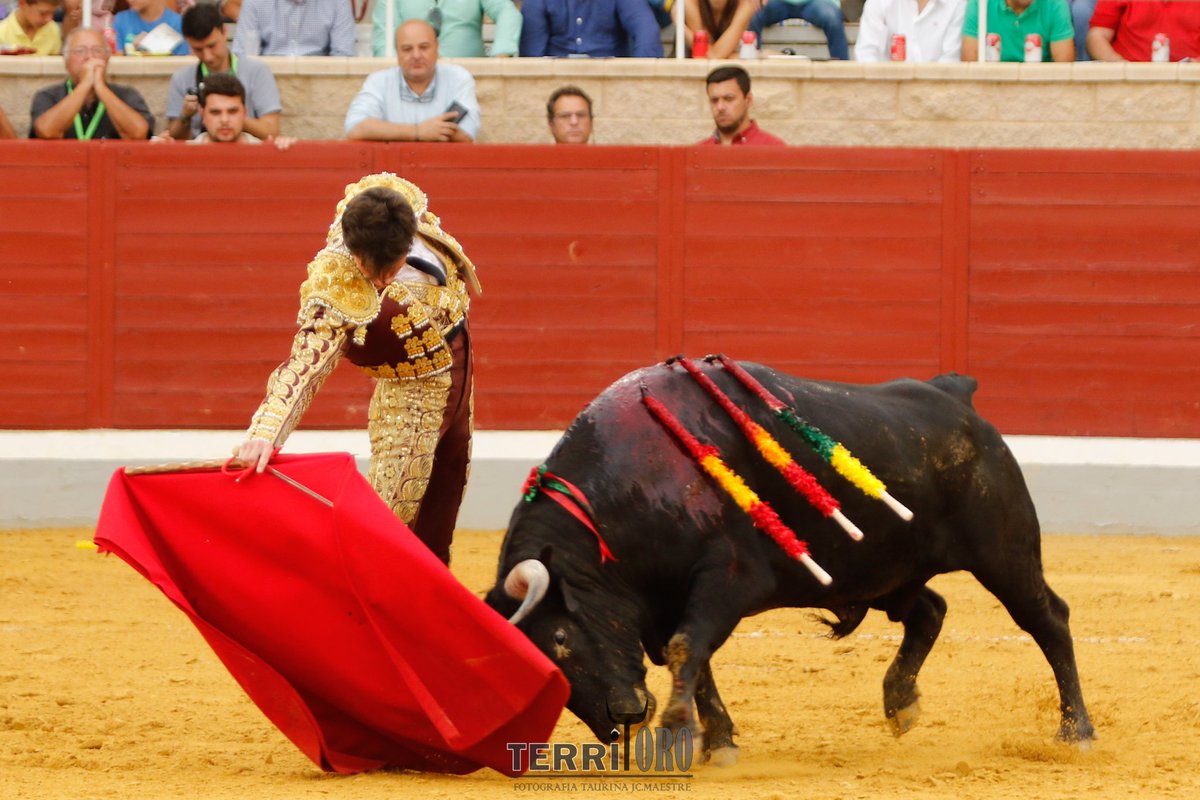 Mundillo Taurino (@mundillotaurino) on Twitter photo Silencio para Fabio Jiménez en el quinto tras varios descabellos y escuchar un aviso.
<a href="/fabio_jimenez_/">Fabio Jimenez</a>
<a href="/MundilloTaurino/">Mundillo Taurino</a>
<a href="/Villasecatoros/">Villaseca dela Sagra</a>
<a href="/MAESTREJc/">JUAN CARLOS MAESTRE-TERRITORO</a>
<a href="/HrosCebadaGago/">Hros. de Cebada Gago</a>
#villasecadelasagra
#alfarerodeoro
#torosvillaseca Silencio para Fabio Jiménez en el quinto tras varios descabellos y escuchar un aviso.
<a href="/fabio_jimenez_/">Fabio Jimenez</a>
<a href="/MundilloTaurino/">Mundillo Taurino</a>
<a href="/Villasecatoros/">Villaseca dela Sagra</a>
<a href="/MAESTREJc/">JUAN CARLOS MAESTRE-TERRITORO</a>
<a href="/HrosCebadaGago/">Hros. de Cebada Gago</a>
#villasecadelasagra
#alfarerodeoro
#torosvillaseca