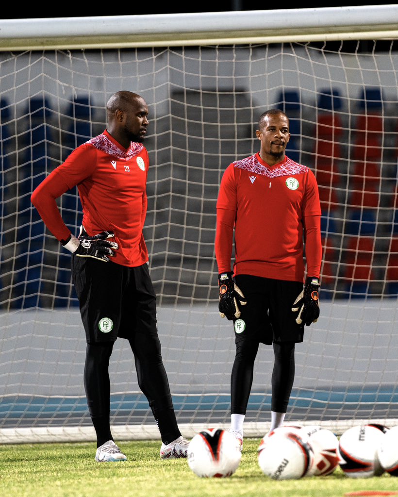 Les Cœlacanthes des Comores 🇰🇲 tweet media