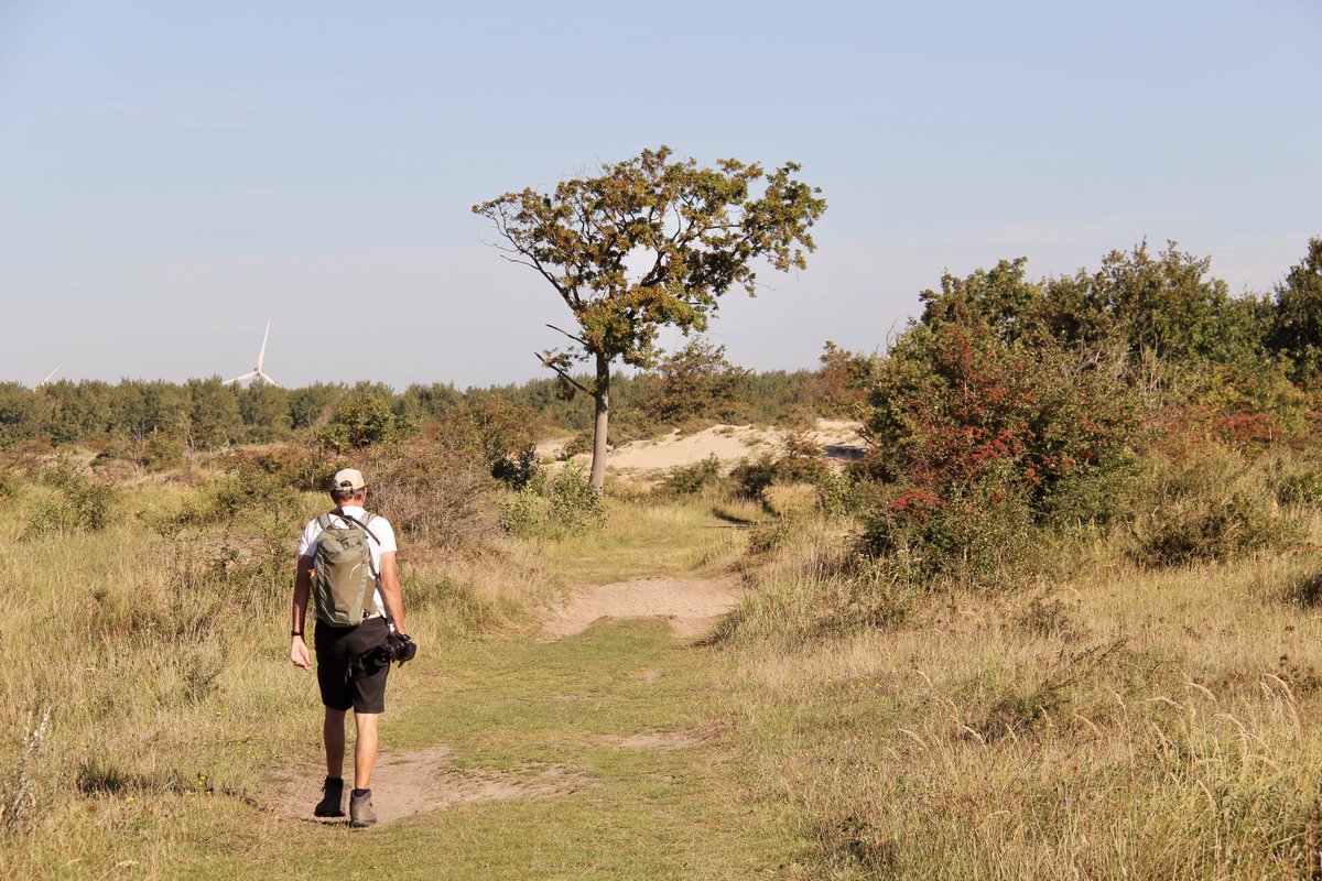 Dick van der Plas tweet media