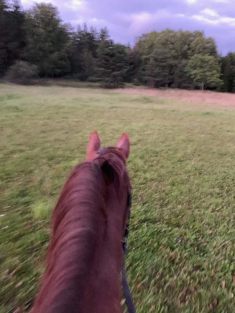 AdvokattenGrabb's tweet photo. En bra aw det här med. 🩷 https://t.co/Y85rCT7EY2