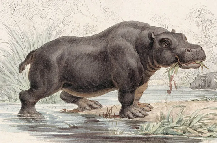 Did you know that there were hippos in the Thames and Sahara was a green belt 130,000 y.a.? I did not. But our Neolithic ancestors were busy advancing multiple agricultural strategies! Read more in Chapter 7 of #TheDawnOfEverything
frontalobe.substack.com/p/slow-read-bo…