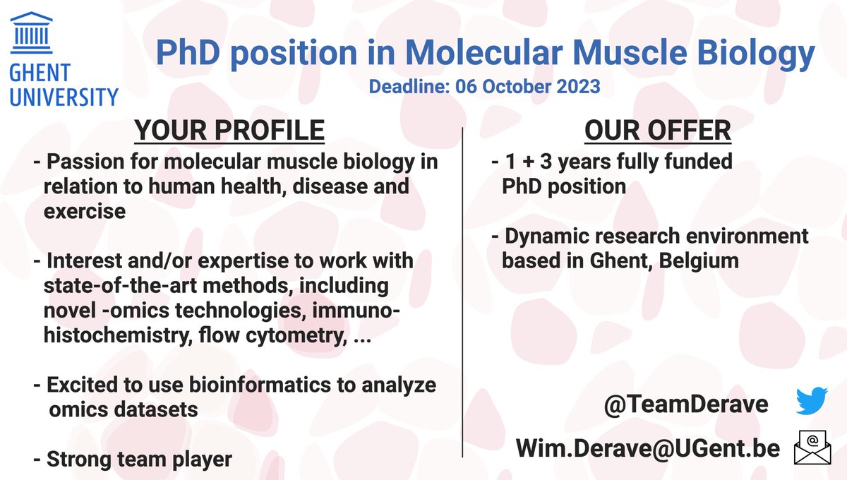 Hi #MyoTwitter 

We are looking to expand our team in Ghent (Belgium) with a fully funded PhD.
Are you:
- Interested in 💪 and exercise?
- Skilled in wetlab and bioinformatics of cellular and molecular techniques?
🖊️Apply before Oct 6th!

ugent.be/en/work/scient… 
Please RT