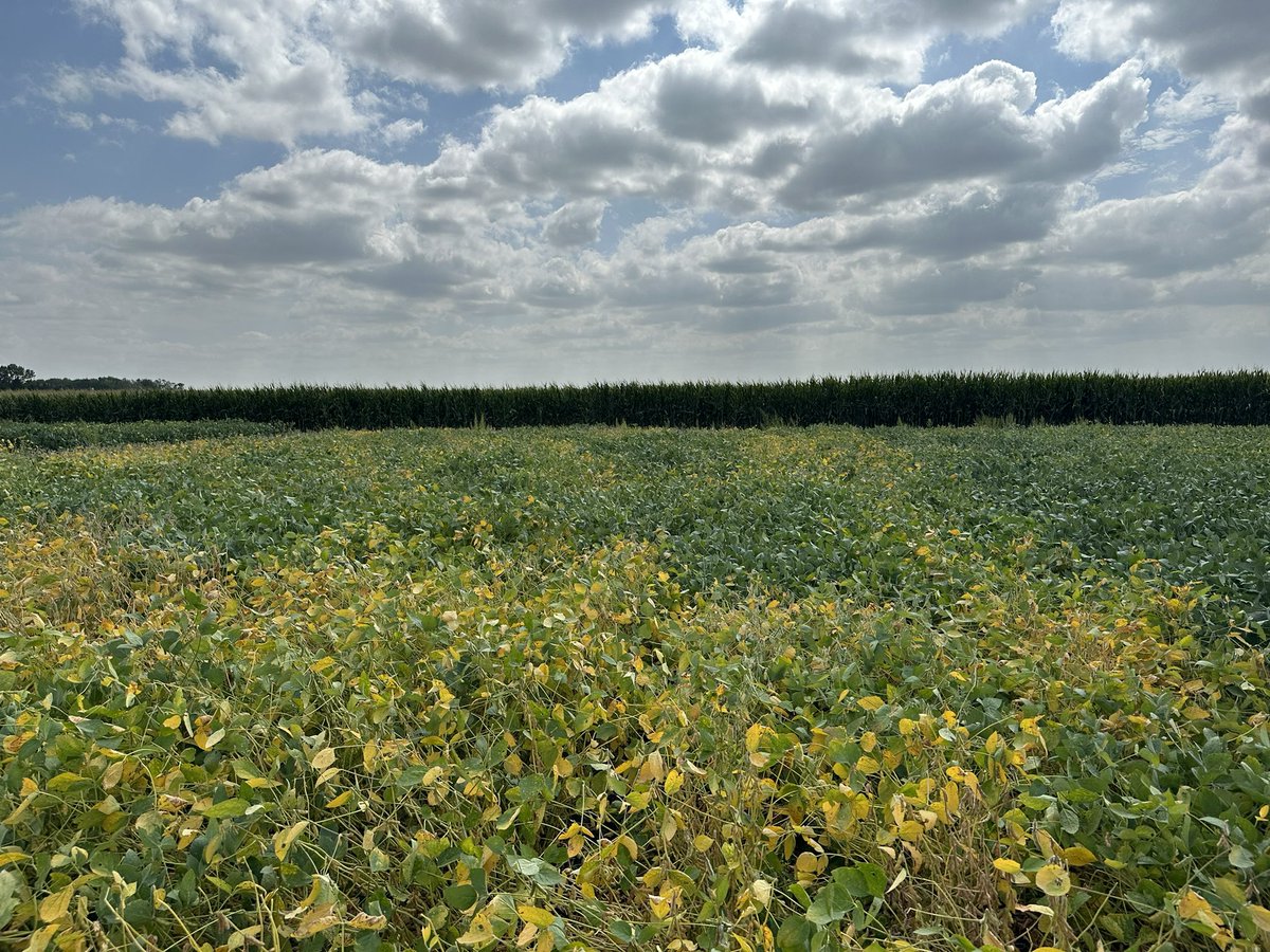 Daren Mueller tweet media