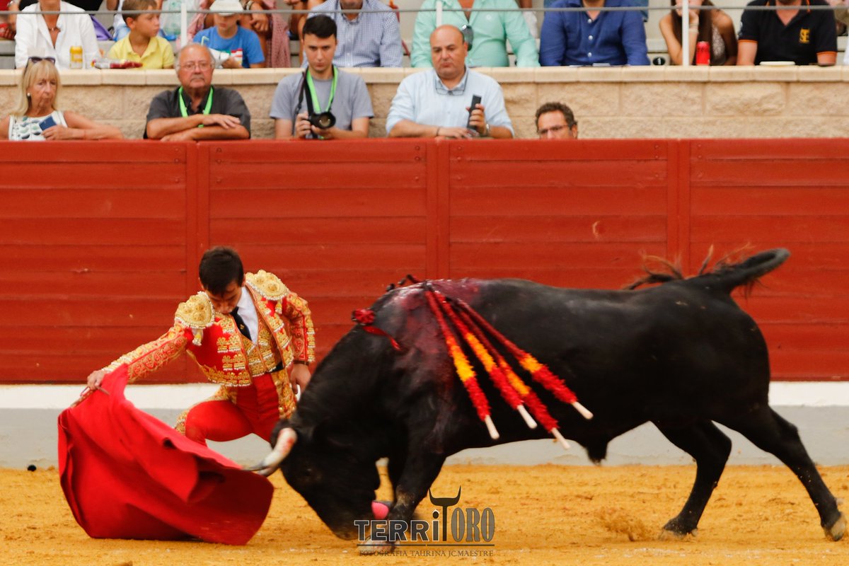 Mundillo Taurino (@mundillotaurino) on Twitter photo Ovación para Ismael Martín en el sexto.
<a href="/IsmaelMartinM/">Ismael Martín</a>
<a href="/MundilloTaurino/">Mundillo Taurino</a>
<a href="/Villasecatoros/">Villaseca dela Sagra</a>
<a href="/MAESTREJc/">JUAN CARLOS MAESTRE-TERRITORO</a>
<a href="/HrosCebadaGago/">Hros. de Cebada Gago</a>
#villasecadelasagra
#alfarerodeoro
#torosvillaseca Ovación para Ismael Martín en el sexto.
<a href="/IsmaelMartinM/">Ismael Martín</a>
<a href="/MundilloTaurino/">Mundillo Taurino</a>
<a href="/Villasecatoros/">Villaseca dela Sagra</a>
<a href="/MAESTREJc/">JUAN CARLOS MAESTRE-TERRITORO</a>
<a href="/HrosCebadaGago/">Hros. de Cebada Gago</a>
#villasecadelasagra
#alfarerodeoro
#torosvillaseca