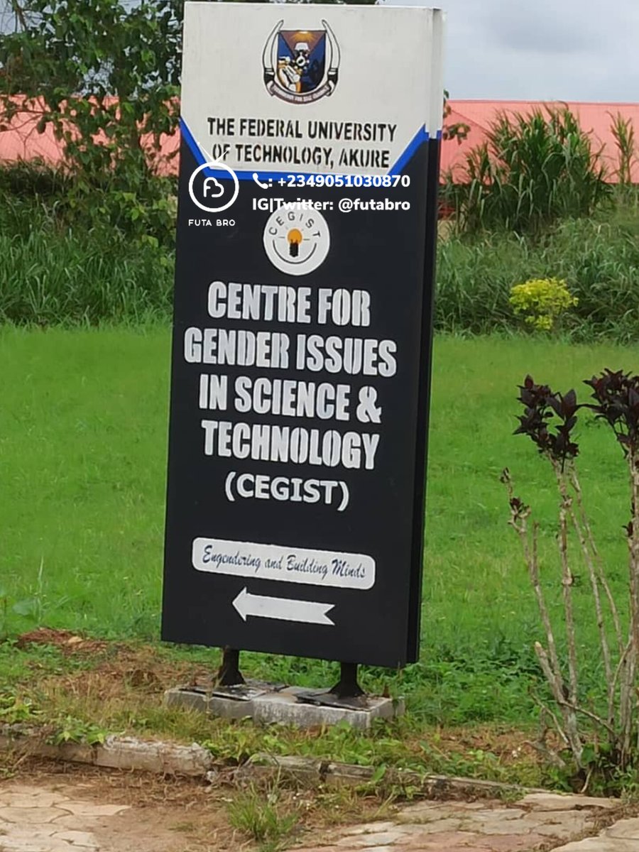 FUTA BRO tweet media