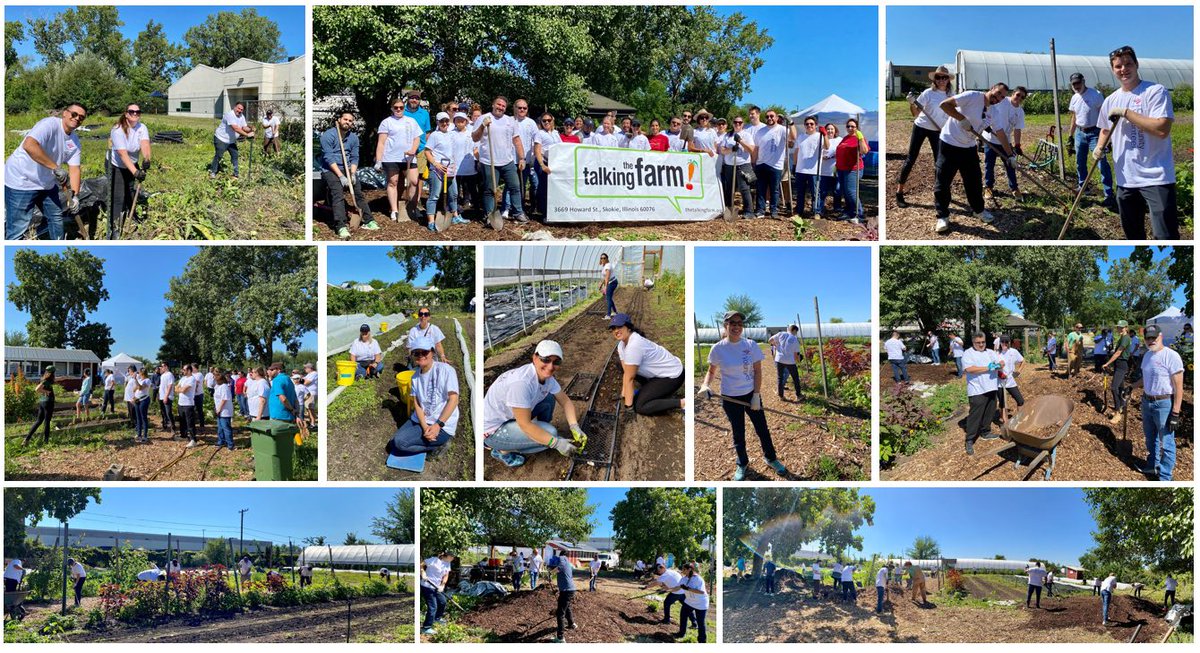 Last week, the sun was shining as our #BofAVolunteers got their hands dirty for a good cause at @thetalkingfarm in Skokie. They took a tour of the farm, learned about their mission and then broke out into groups for weeding, shoveling and digging!